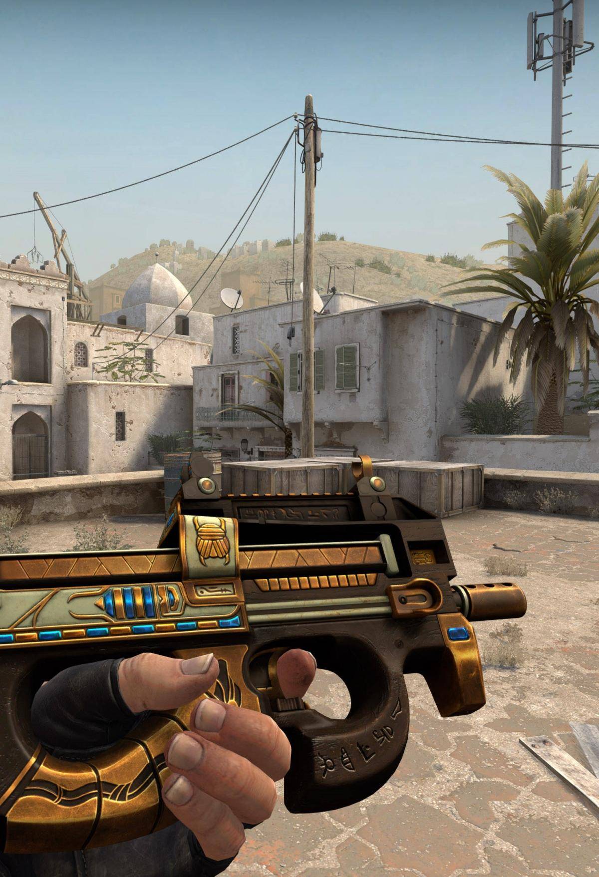 的强力支持 的强力支持