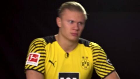 投放速度型 投放速度型